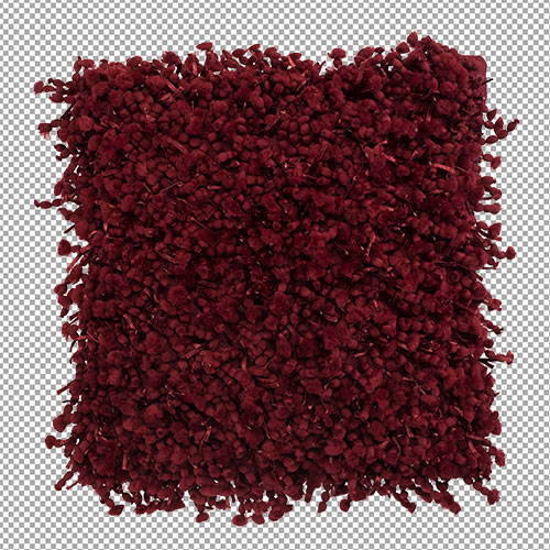 1 Background remove (27)