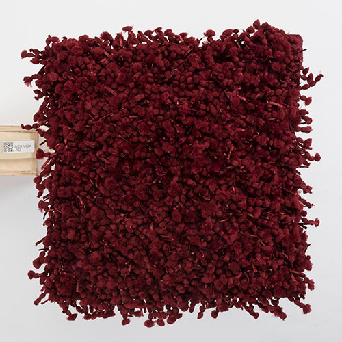 1 Background remove (28)